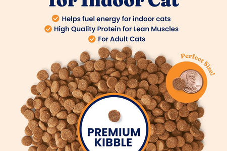 - Let’S Stay in - Grain-Free - Indoor Formula Dry Cat Food with Superfoods - Hairball Control - Protected Probiotic Blends - Holistic Food for Adult Cats